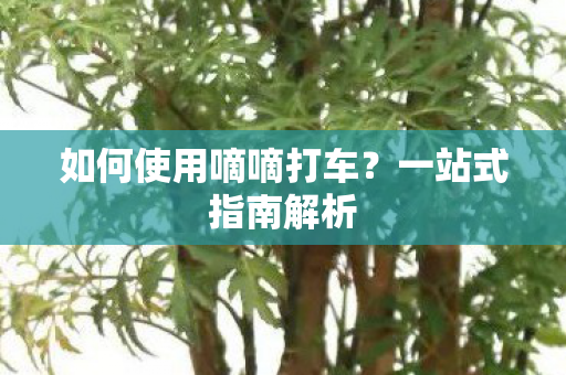 如何使用嘀嘀打车图片