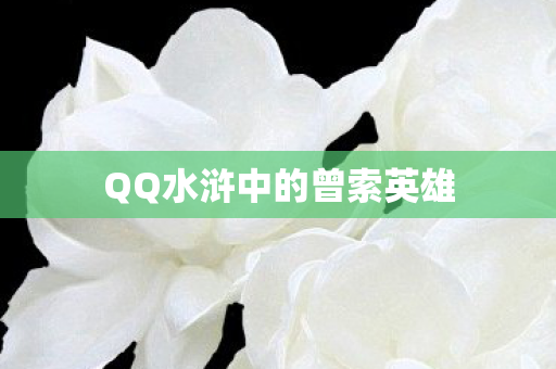 QQ水浒中的曾索英雄图片