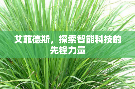 探索智能科技的先锋力量图片