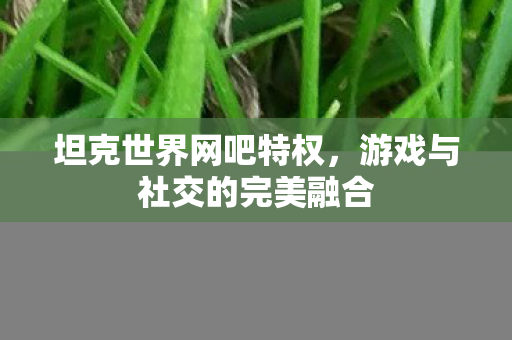 游戏与社交的完美融合图片