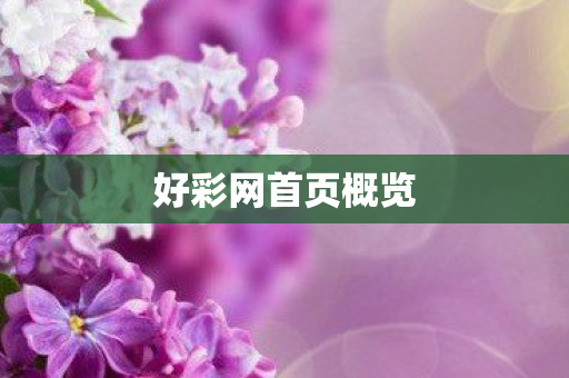 好彩网首页概览图片
