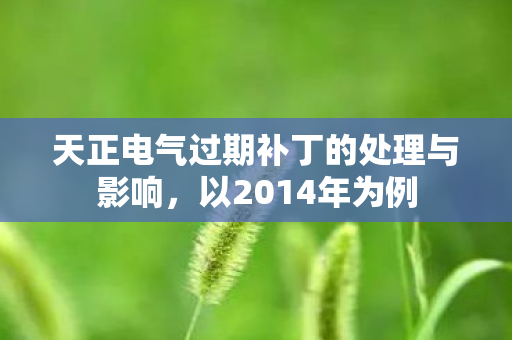 天正电气过期补丁的处理与影响图片