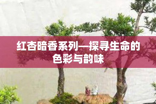 探寻生命的色彩与韵味图片