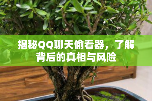 了解背后的真相与风险图片