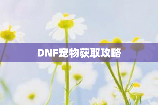 DNF宠物获取攻略图片