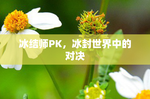 冰封世界中的对决图片