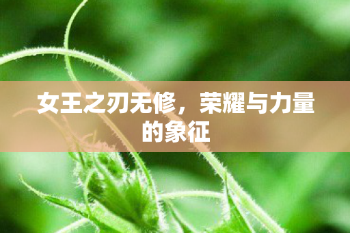 荣耀与力量的象征图片