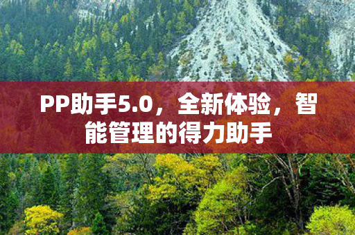 智能管理的得力助手图片