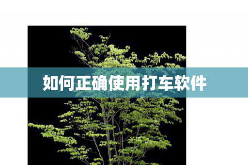如何正确使用打车软件图片