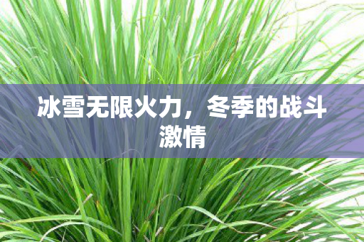 冬季的战斗激情图片