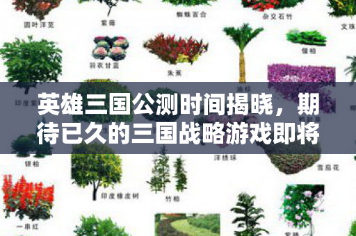 期待已久的三国战略游戏即将开启图片