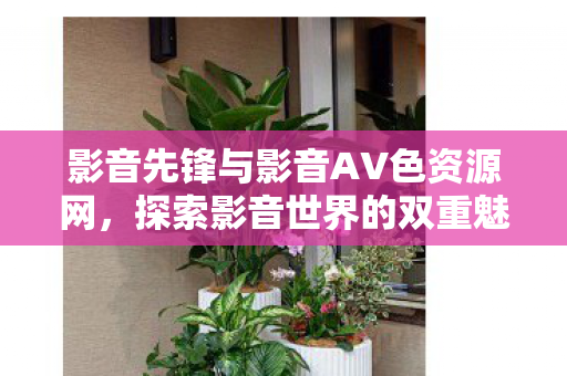 影音先锋与影音AV色资源网图片
