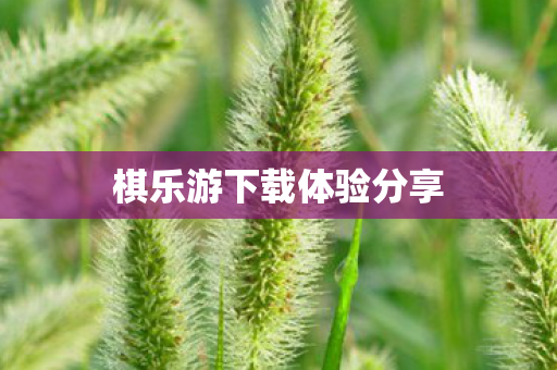 棋乐游下载体验分享图片