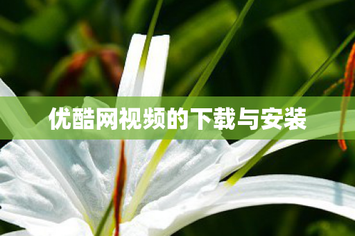 优酷网视频的下载与安装图片