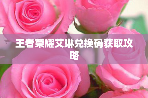 王者荣耀艾琳兑换码获取攻略图片