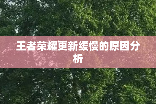 王者荣耀更新缓慢的原因分析图片