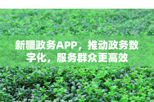 新疆政务APP图片