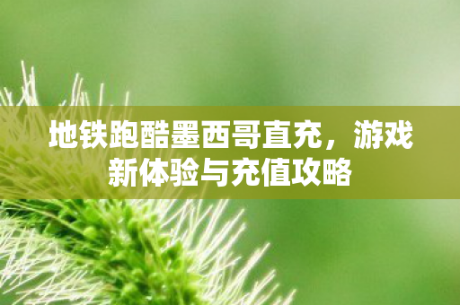 游戏新体验与充值攻略图片