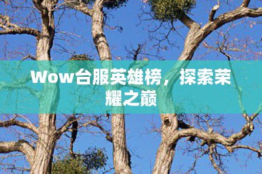 Wow台服英雄榜图片