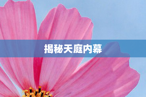 揭秘天庭内幕图片