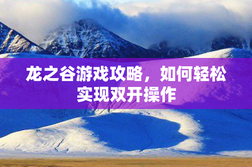 如何轻松实现双开操作图片