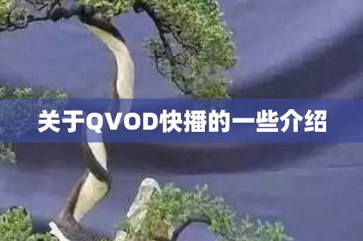 关于QVOD快播的一些介绍图片