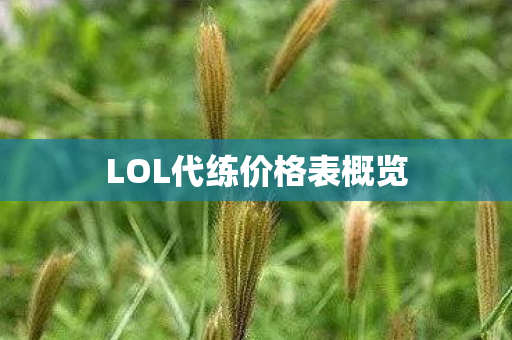 LOL代练价格表概览图片
