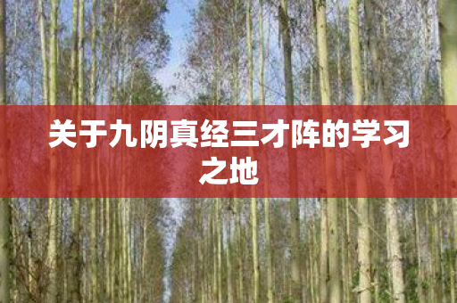 关于九阴真经三才阵的学习之地图片