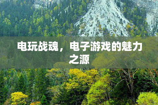 电子游戏的魅力之源图片