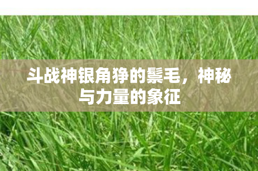 斗战神银角狰的鬃毛图片