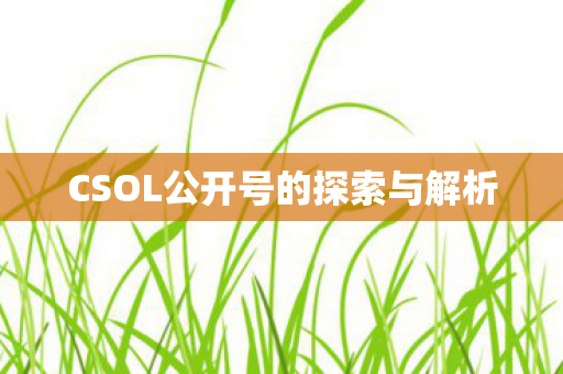 CSOL公开号的探索与解析图片
