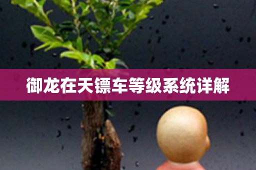 御龙在天镖车等级系统详解图片