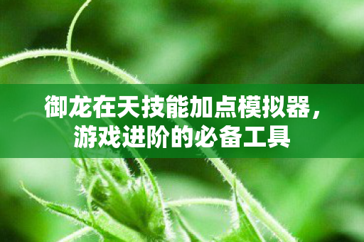 御龙在天技能加点模拟器图片