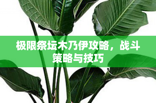 极限祭坛木乃伊攻略图片