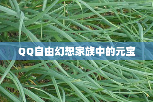 QQ自由幻想家族中的元宝图片