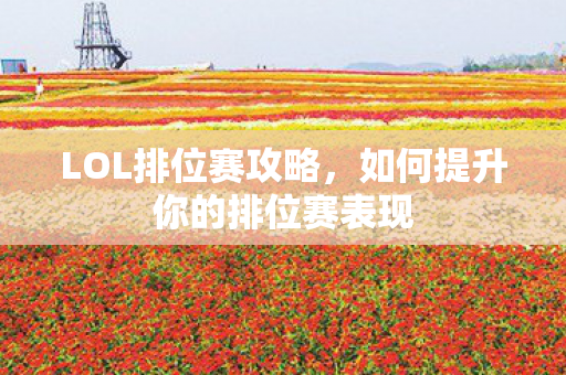 如何提升你的排位赛表现图片