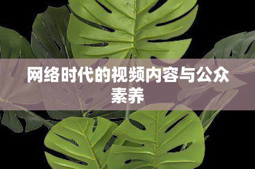 网络时代的视频内容与公众素养图片