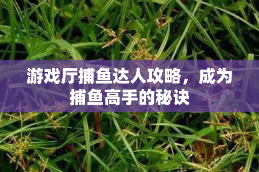 游戏厅捕鱼达人攻略图片