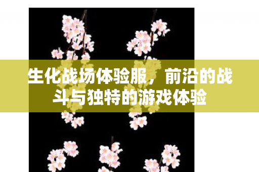 前沿的战斗与独特的游戏体验图片