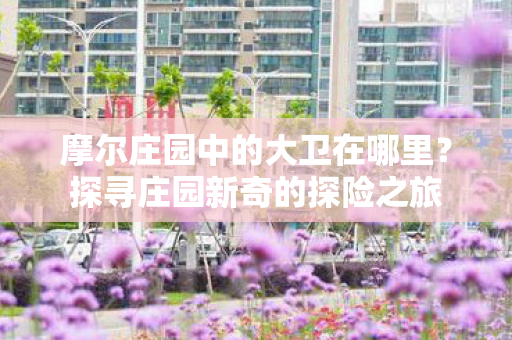 摩尔庄园中的大卫在哪里图片