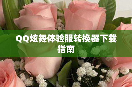 QQ炫舞体验服转换器下载指南图片