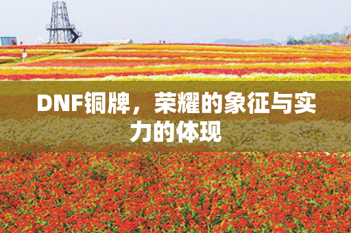 荣耀的象征与实力的体现图片