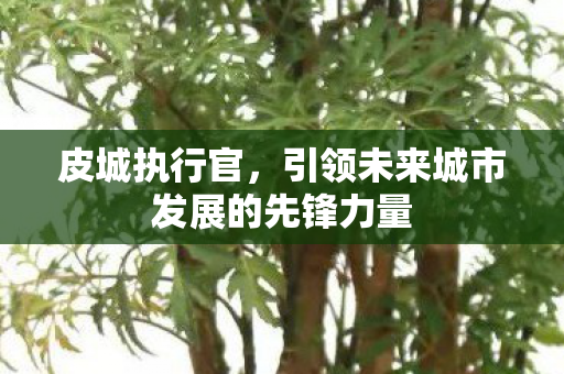 引领未来城市发展的先锋力量图片