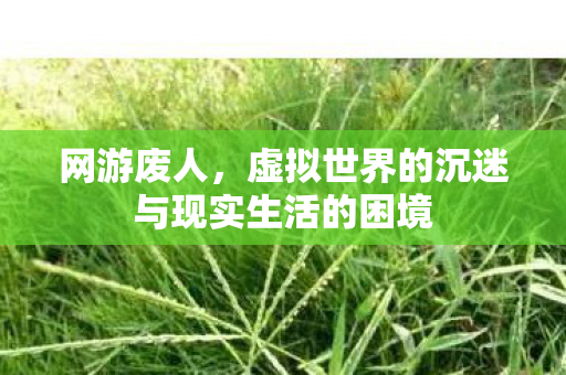 虚拟世界的沉迷与现实生活的困境图片