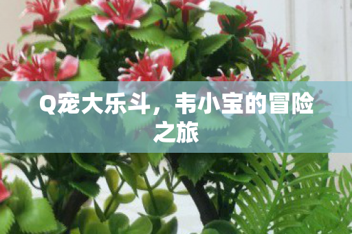 韦小宝的冒险之旅图片