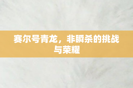 非瞬杀的挑战与荣耀图片