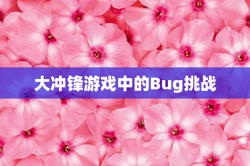 大冲锋游戏中的Bug挑战图片
