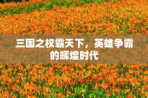 英雄争霸的辉煌时代图片