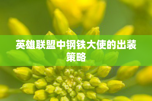 英雄联盟中钢铁大使的出装策略图片