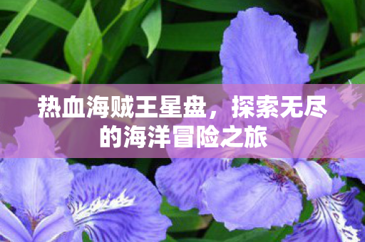 探索无尽的海洋冒险之旅图片